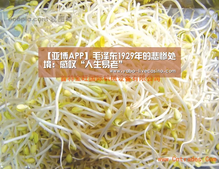 【亚博APP】毛泽东1929年的悲惨处境:感叹“人生易老”(图3) 亚博品牌