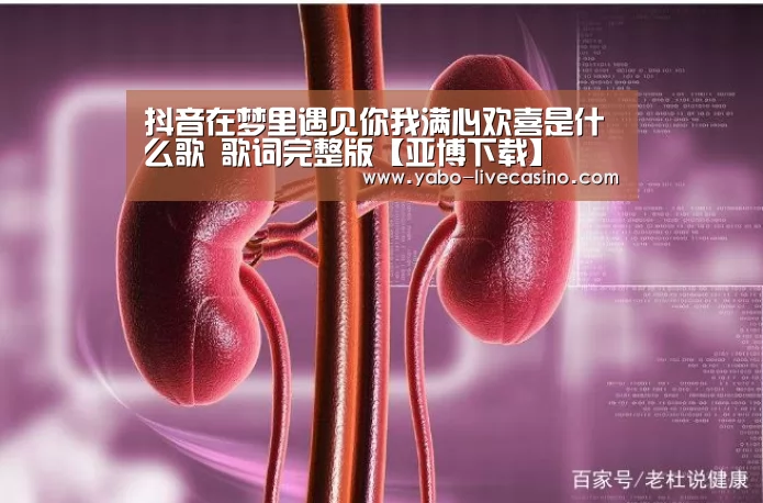 抖音在梦里遇见你我满心欢喜是什么歌 歌词完整版【亚博下载】(图1) 亚博APP