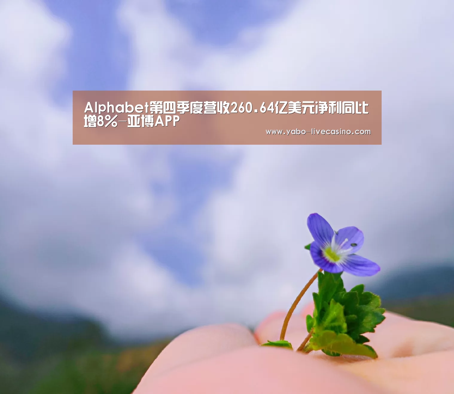 Alphabet第四季度营收260.64亿美元净利同比增8%-亚博APP(图2) 亚博品牌