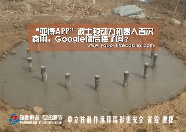 “亚博APP”波士顿动力机器人首次商用,Google你后悔了吗?(图3) 亚博APP