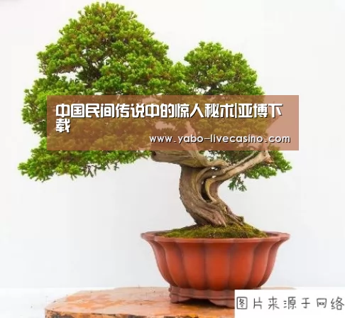 亚博直播