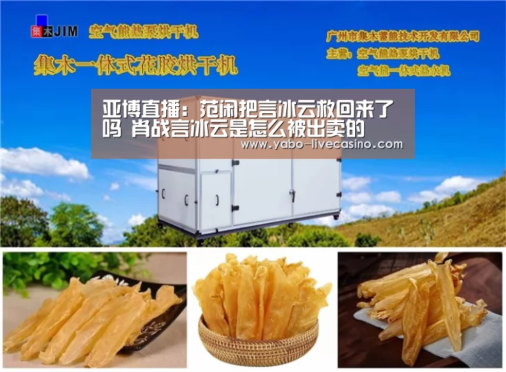亚博直播:范闲把言冰云救回来了吗 肖战言冰云是怎么被出卖的(图1) 亚博APP