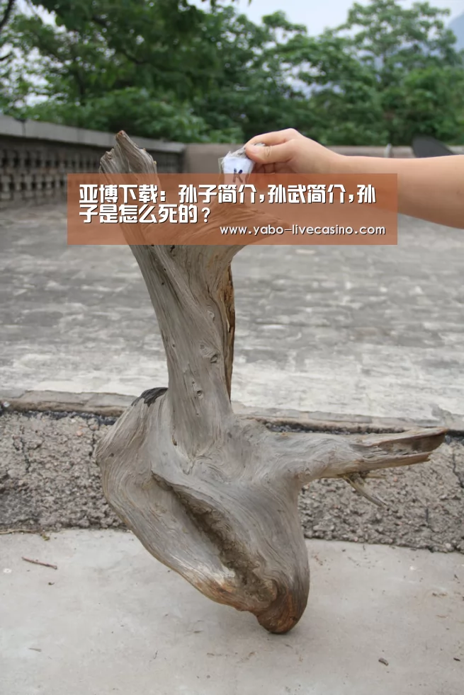 亚博下载:孙子简介,孙武简介,孙子是怎么死的?(图1) 亚博直播