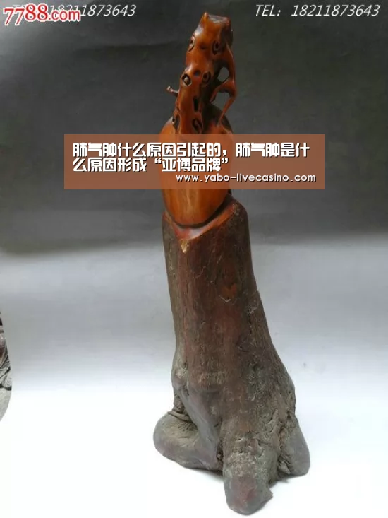 肺气肿什么原因引起的,肺气肿是什么原因形成“亚博品牌”(图1) 亚博下载