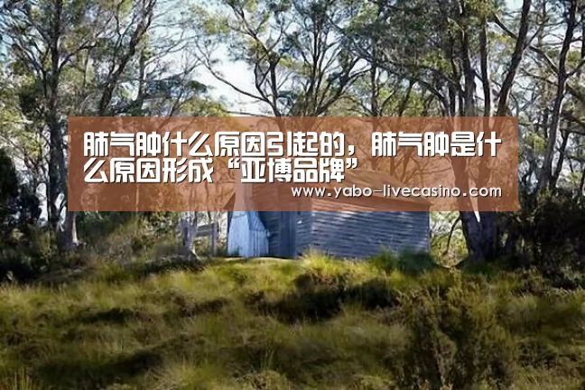 肺气肿什么原因引起的,肺气肿是什么原因形成“亚博品牌”(图3) 亚博直播