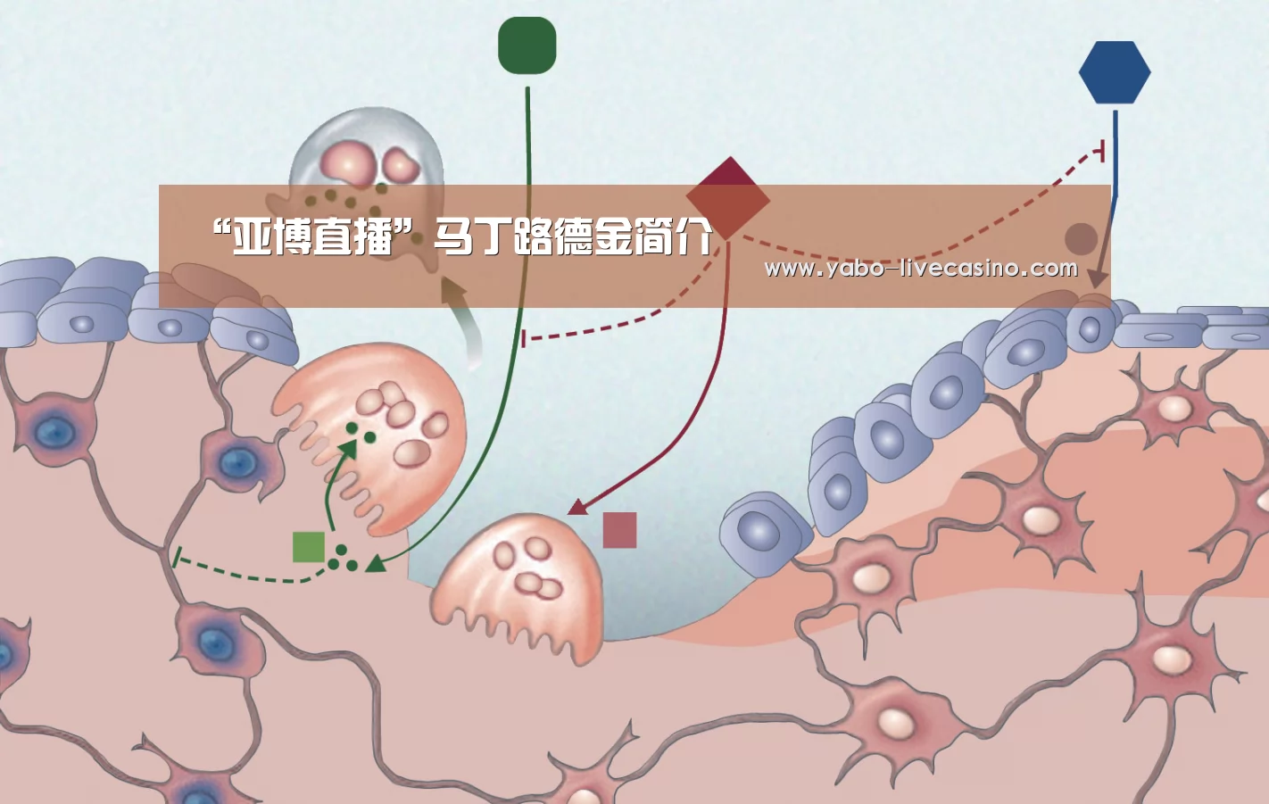 “亚博直播”马丁路德金简介(图1) 亚博APP